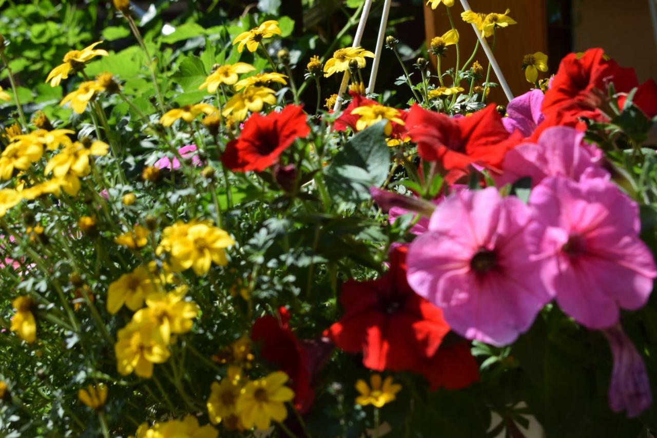 Marktstuebchen An Der Schoenen Loreley Bornich エクステリア 写真